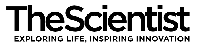 The Scientist Logo